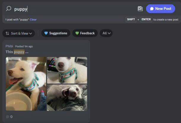 Discord Forum Channels showing post search and tag filters for organized community discussions.